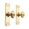 Polished Brass Beehive Door Knobs On Backplate