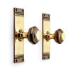 Aged Brass Octagonal Door Knobs On Backplate