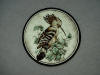 Hoopoe Roundel